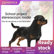 Realistic Dog Model  High Simulation Rottweiler Toy Miniature Animal Home Office Children's Des