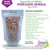 Pinang muda kapsul curah herbal pinang muda kapsul pinang muda curah kapsul herbal pinang muda