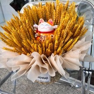 大麥招財貓花禮/適合開幕.新居入宅