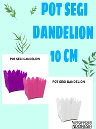 POT BUNGA SEGI DANDELION 10 CM artifical pot plastik tanaman hias