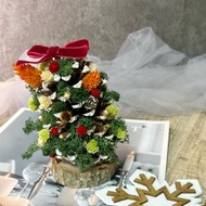 KL- 苔蘚松果聖誕樹-可自行DIY