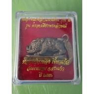 LP Kalong Wild Boar Amulet BE2550 龙婆卡隆 山猪 佛牌