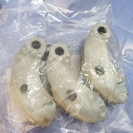 Dad 3 rear pot forks SH Y