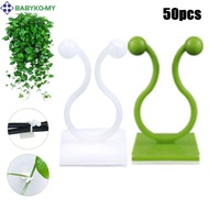 [BABYKO] Invisible Plant Climbing Clips Wall Vines Fixture Wall Sticky Hook