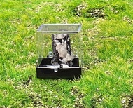 小小能量礦石擺件-可愛精品小褐鐵礦共生方解石晶花 吸收負能量