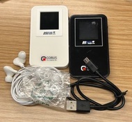 DSE 收音機
