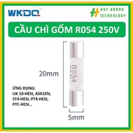 (Combo of 10 Pieces) Fuse 1A 2A 3A 4A 5A 6A 8A 10A 5x20mm R054 250V