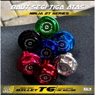 NINJA RR SS RM UPPER TRIANGLE BOLT BY 2 TC FACTORY