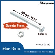 M8 x 100 Nut and Bolt