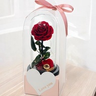 Leaflorist 永生花小夜燈