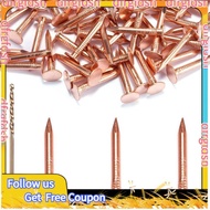 【D&F】Copper Nails 120Pcs 1 Inch with 1/16 Inch Drill Bit- for Roofing Spikes for Furniture Boat for 