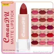 15 Colors Waterproof Red Nude Lipstick Beauty Makeup Long Lasting Matte Velvet Water Resistant Lip S