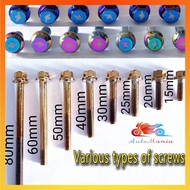 M6 titanium screw m6 skru titanium y15 skru enjin ex5 m6 screw titanium lc135 skru gold skru ex5 enj