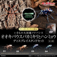 Gashapon Bandai Premium Big Size Long-Horned Beetle Action Vol.01 Animal Model