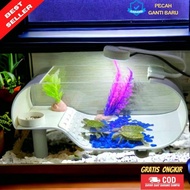 Aquarium kura kura/ aquarium minimalis full set rumah kura kura