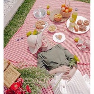 Picnic cloth mat priweed/ fothograper checkered pattern size 2mX1.5m - 3mx1.5m checkered rug
