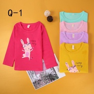Women's Long Sleeve T-Shirt Imported RANDOM-UK.5-10th/ Cool Material Thick Street/REAL PICT/FASHION 