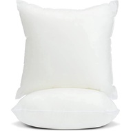 THROW PILLOW (SQUARE PILLOW) 16*16 18*18 21*21 (INCHES)