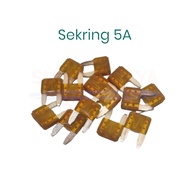 Small Plug Fuse 5A Car Motorcycle/Micro Fuse 5 Amperes