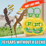 20 years without a gecko lizard repellent lizard killer the most effective lizard drug a variety of 
