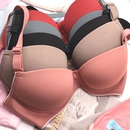 Maple Comfort Bra Cup D 80D-105D