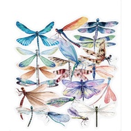 PET Dragon Fly Sticker | Journal Kit Material