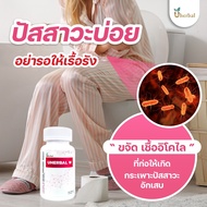 Uherbal W  ยูเฮอร์เบิลดับเบิ้ลยู สำหรับผู้หญิง สมุนไพรดูแลระบบปัสสาวะ ปัสสาวะบ่อย ฉี่บ่อย ลดการเกิดน