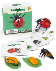 Life Cycle Kit Toy Science Montessori - Realistic Figurine Toys, Kids Animal Match Set, Easter Baske