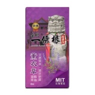 金門 - 金牌 金門一條根 精油滾珠凝露 薰衣草清涼 40ml