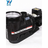 Swimming Pool Water Pump SPA SPA Massage Pump 2-3HP Filter Circulating Pump Swimming Pool Stain Abso