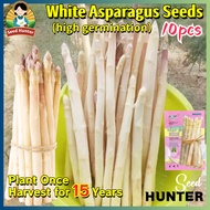High Yield Fresh White Asparagus Seeds for Planting Vegetables (Fast Growing 10pcs) F1 Organic Aspar