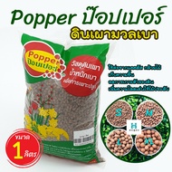 (ล็อตใหม่) เม็ดดินเผา ป๊อบเปอร์ (Popper) เม็ดดินเผามวลเบา ใช้ล่อราก เก็บความชื้น ลดการเกาะตัวของดิน 