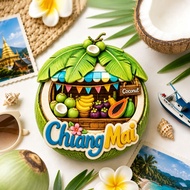 Resin Fridge Magnet Thailand Chiang Mai Tropical Fruit Market Travel Souvenir Magnetic Sticker Vibra