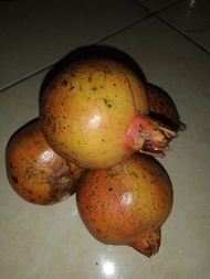 buah delima merah LOKAL per buah