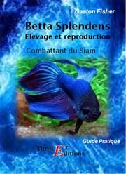 Betta Splendens Gaston Fisher