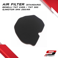 BENELLI TNT 249S TNT249S TNT 300 TNT300  QJMOTOR SRK 250 SRK250 SRK250RR SRK 250RR Air Filter