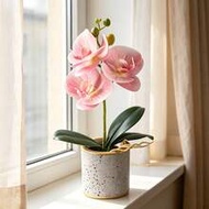 Artificial Pink Phalaenopsis Orchid Potted Plant, Real Touch Faux Butterfly Orchid With Speckled Cem