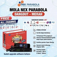 receiver nex parabola mola tv merah