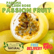 (FRESH from FARM) Local Yellow Panama Golden Rose Passion Fruit Buah Makisa Emas Rose Panama Manis F