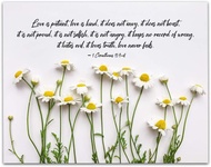 - 1 Corinthians 13 4 8 Bible Wall Decor  Love is Patient Love is Kind Christian Bible Quote Decor  B
