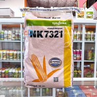 เมล็ดพันธุ์ข้าวโพด เลี้ยงสัตว์  NK7321 : 10 กก. (3.5หุน) ผลผลิตดี สีสวย
