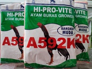 Pakan Komplit Butiran Ayam Bangkok Muda A592K Kemasan 1kg