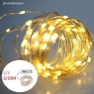 2m / 3M / 5M / 10M LED Christmas light chain wedding room decoration light chain wedding light