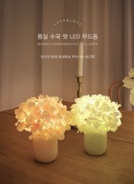 🇰🇷韓國設計品牌VIA-K Studio LED 繡球花LED小夜燈🌟韓國直送