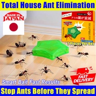 🐜Total House Ant Elimination！ant killer ant killer bait racun rapid killer Stop Ants Before Thev Spr