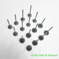 Car accessories engine cylinder inlet & exhaust valve 474Q-12-121  for Haima 2 M3 S5 M6 474Q