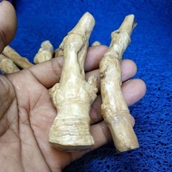 Once pipa rokok akar bahar putih model bambu petuk