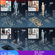 【免运费】Mannequin SHF Figures Body Chan SHFiguarts Body Kun Black Orange Color Ver PVC Action Figure Co