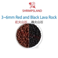 [SHRIMPSLAND] Aquarium 1kg 3~6mm Red Black Lava Rock Pasir Malang Volcanic Stone Sulawesi Neocaridin