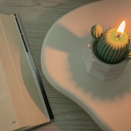 仙人掌石膏盆栽香氛蠟燭